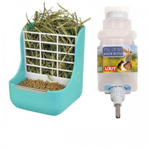 Castroane si Adapatori