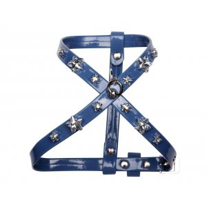 Ham Charlotte's Dress Star Bloom - Xxs - Albastru