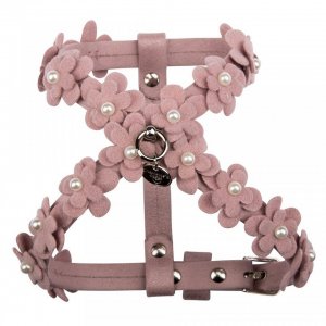 Ham Charlotte's Dress - Xxs - Rosalie