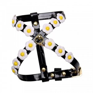 Ham Daisy - Xxs - Negru