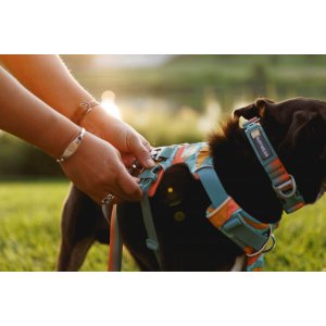 Ham Front Range Ruffwear - S - Spring Mountains