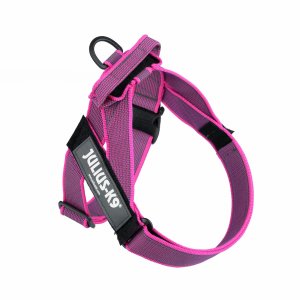 Ham Jk9 Idc Color & Gray - S - Roz