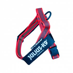 Ham Jk9 Idc Color & Gray - Xs - Rosu