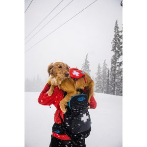 Ham Web Master Ruffwear - M - Red Sumac