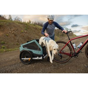 Ham Web Master Ruffwear - M - Slate Blue