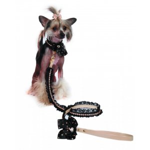 Lesa Charlotte's Dress - 1.2m - Catherine Vip