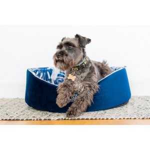 Pat Caine - Cazo One Original Blue - 60x50cm