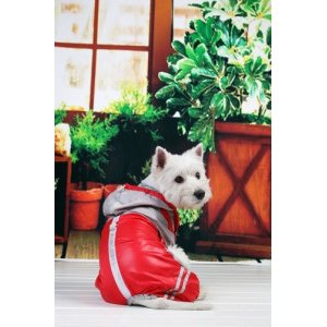 Pelerina Ploaie, Dungi Flourescente - Rosu - S