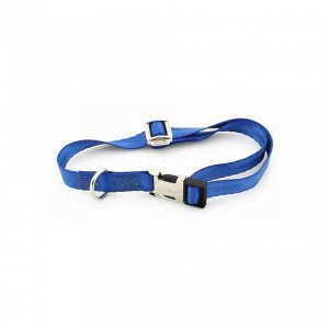 Zgarda Nylon Petit Amis - 2.5cmx38-63cm - Albastru