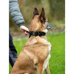 Zgarda Tactical 2.0 Eurojoe, Cu Maner - Xl - Negru Zgarda Tactical 2.0 Eurojoe, Cu Maner - Xl - Negru