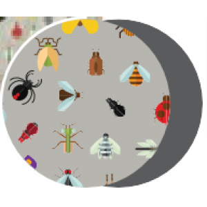 Saltea Ponton PetGuru Modern cu fermoar-imprimeu bej cu insecte 105 x 80 cm