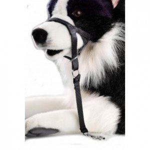 Lesa Dog Control XXL