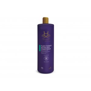 Hydra Balsam Flash Termo Active 900ml