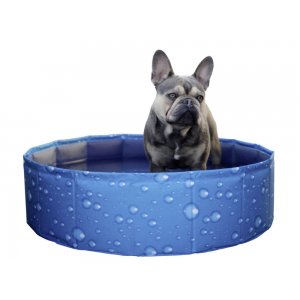 Piscina Bubble pentru caini 120x120x30cm, albastra