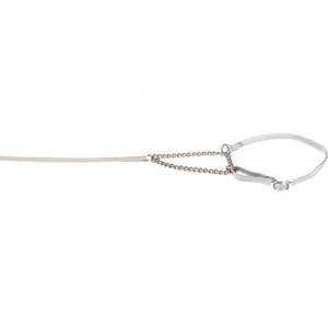 Lesa prezentare cu zgarda Combi Alba 0.7cmx140cm