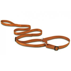 Show Tech Lesa de prezentare cu zgarda 12mmx150cm Aurie