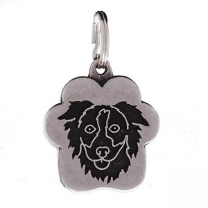 Medalion Clouds Border Collie