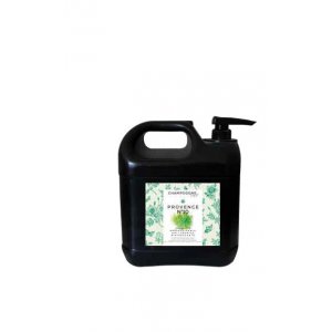 Champoogne Sampon Anti-mancarime N.10 5L