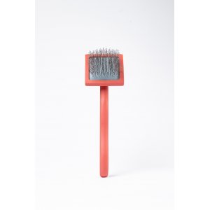 LIZ’N BIBI Edge Perie Slicker Curb S Coral