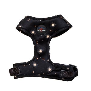 Ham Long Paws FTD Night Sky XS - 20x28/32x47 cm