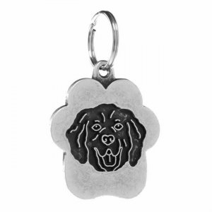 Medalion Clouds Golden Retriever