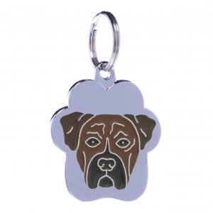 Medalion Rainbow Boxer Tigrat Tabby