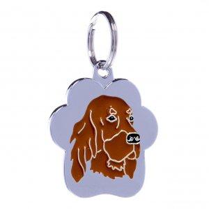 Medalion Rainbow Setter Irlandez Maro