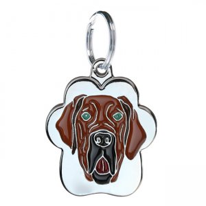 Medalion Rainbow Dog German Roscat