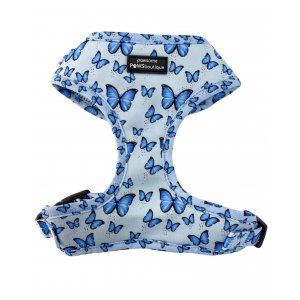 Pawsome Paws Ham-Nova Blue XXS