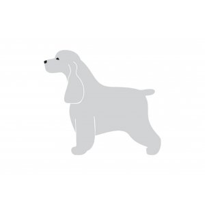 Autocolant Cocker Englez 10 cm Silver Stanga