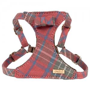 Ham Scottish cu fundita XS 27-37cm x 10mm