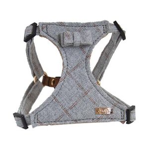 Ham Denim cu fundita - Gri XS 27-37cm x 15 mm