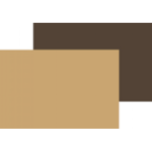 Poseta Basic Duo pentru caini sau pisici 35x20x24h / maro/bej Poseta Basic Duo pentru caini sau pisici 35x20x24h / maro/bej