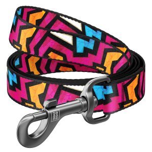 Lesa nylon WAUDOG Graffiti 25mm/122cm