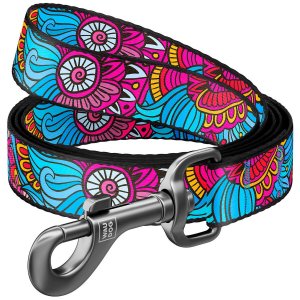 Lesa nylon WAUDOG Summer 25mm/122cm