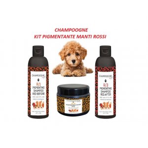 Champoogne Kit pentru blana roscata/apricot